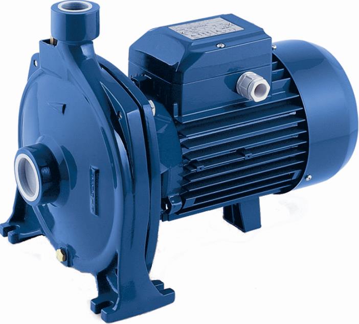 AQN1 (2).jpg